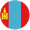 Mongolia flag